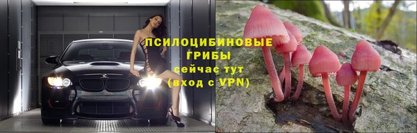 индика Богданович