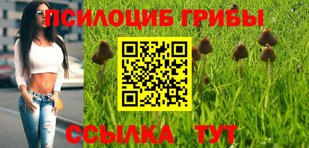 Псилоцибиновые грибы Psilocybine cubensis  Псилоцибиновые грибы прущие грибы  Вход с VPN  Каменск-Уральский 